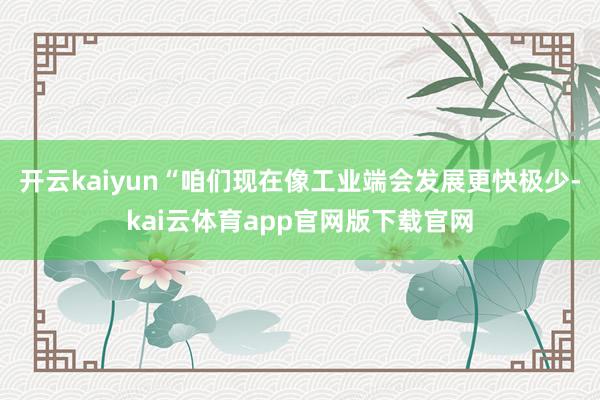 开云kaiyun“咱们现在像工业端会发展更快极少-kai云体育app官网版下载官网