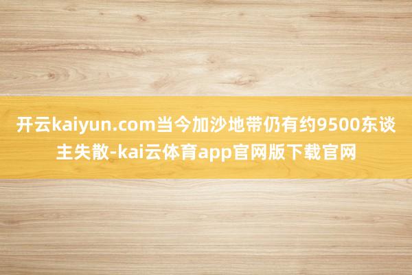 开云kaiyun.com当今加沙地带仍有约9500东谈主失散-kai云体育app官网版下载官网
