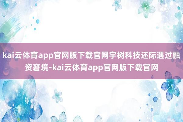 kai云体育app官网版下载官网宇树科技还际遇过融资窘境-kai云体育app官网版下载官网